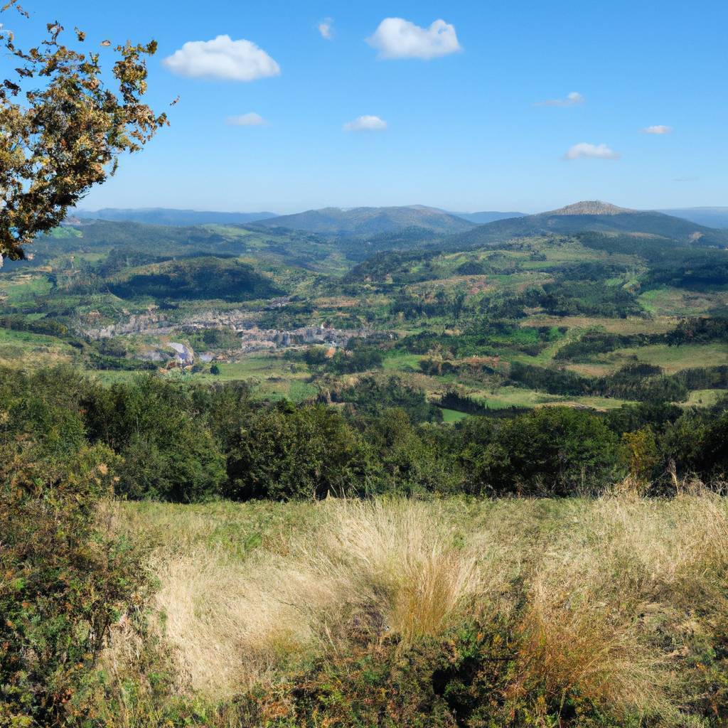 Assurance Puy-de-Dôme