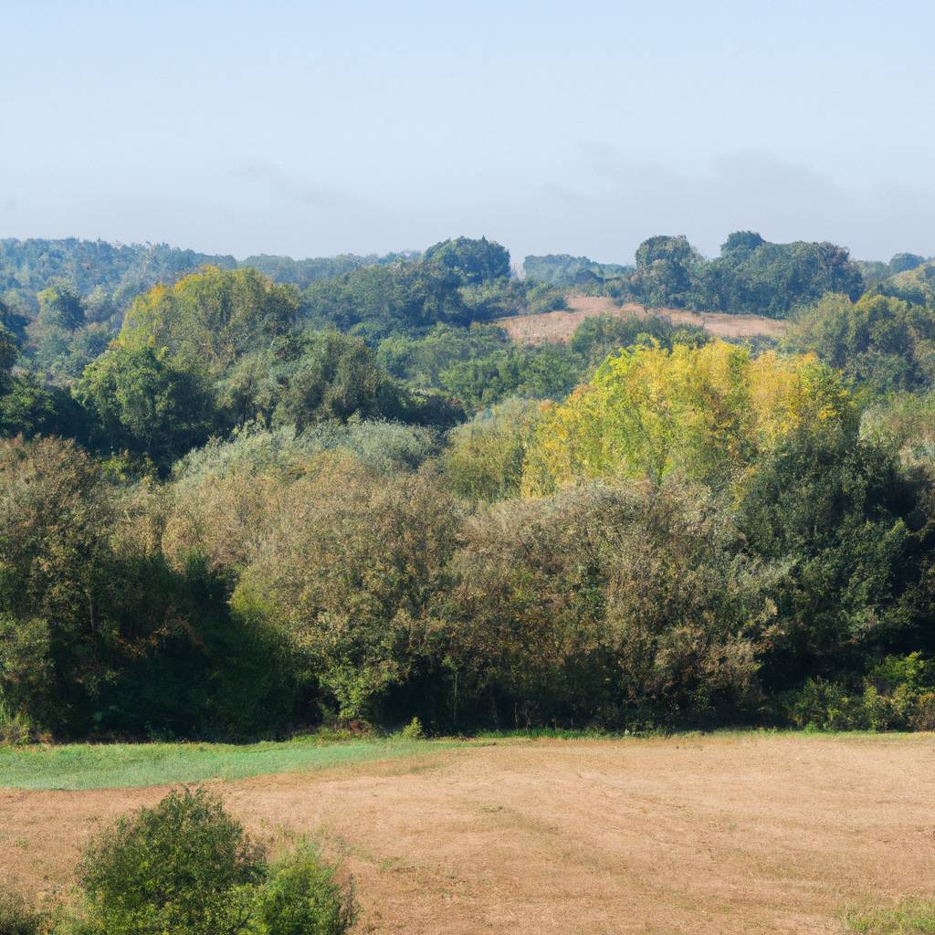Assurance Indre