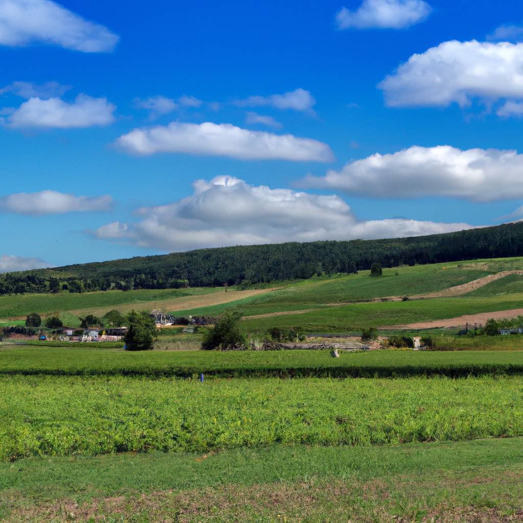 Assurance Haut-Rhin