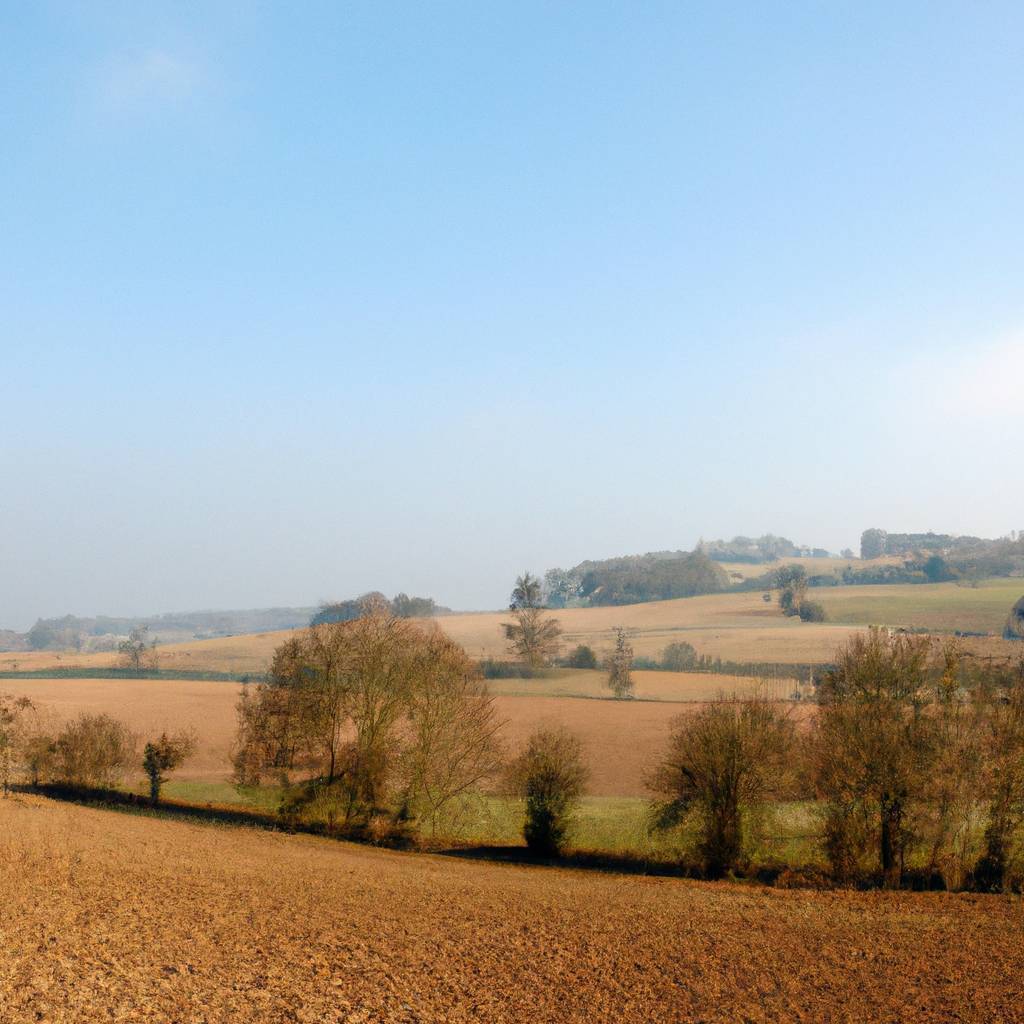 Assurance Haute-Marne