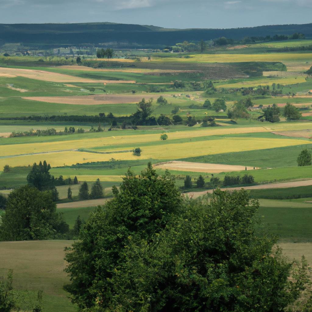 Assurance Moselle