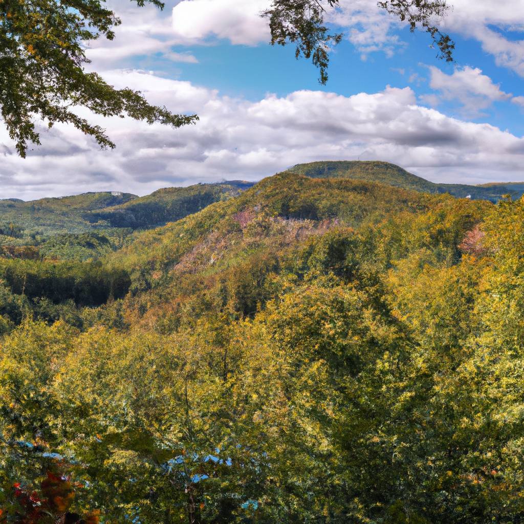 Assurance Vosges