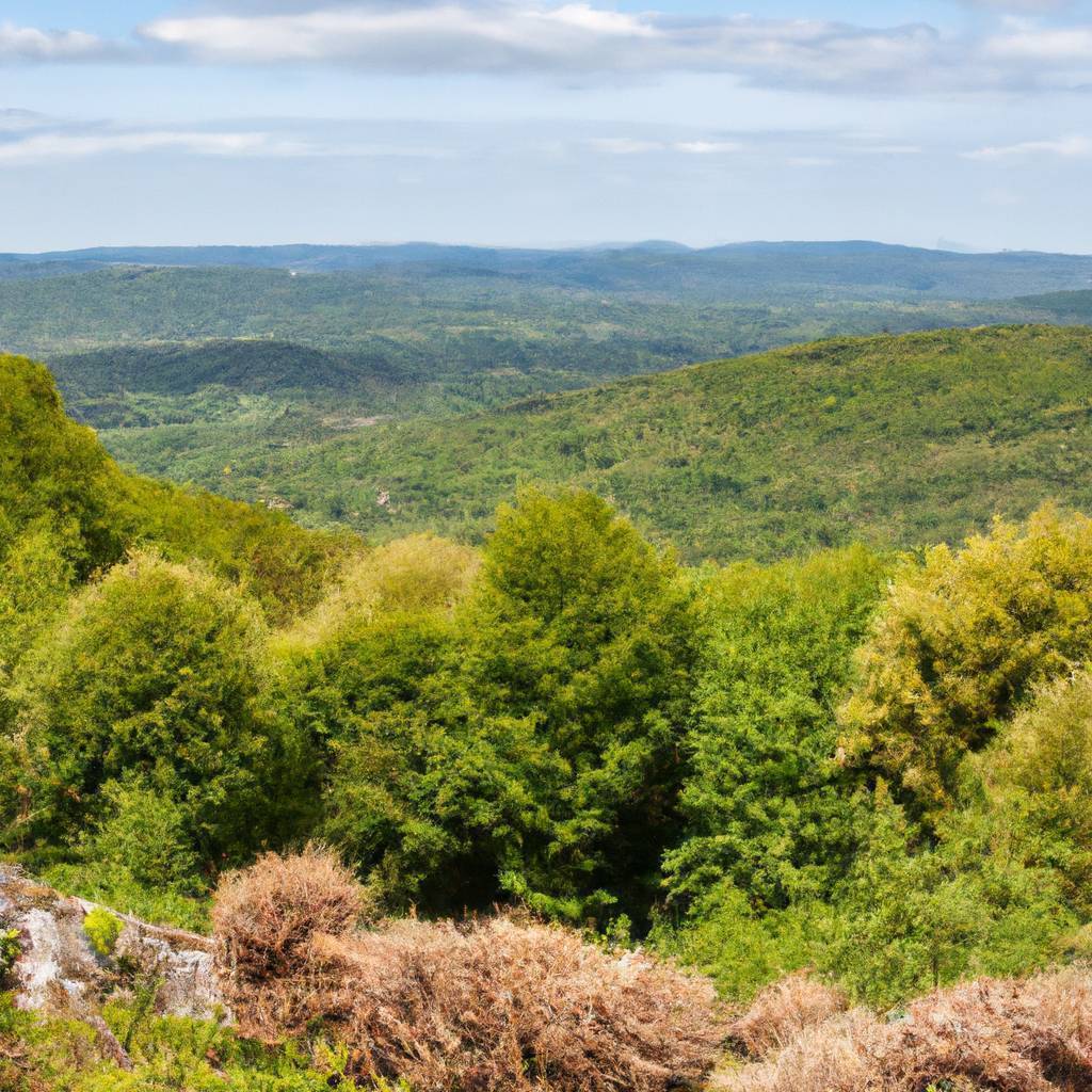 Assurance Creuse