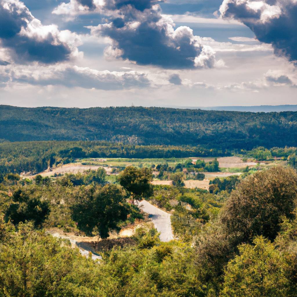 Assurance Hérault
