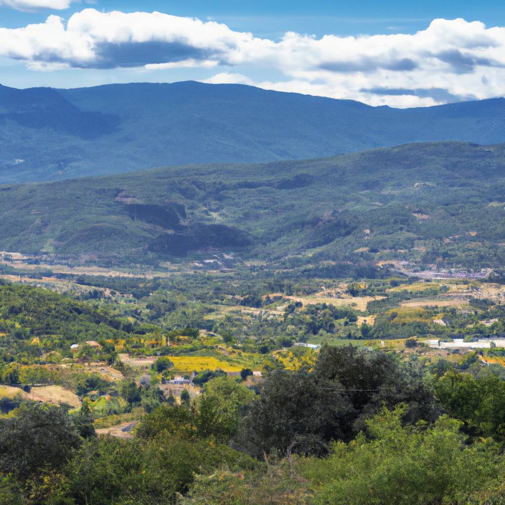 Assurance Pyrénées-Orientales